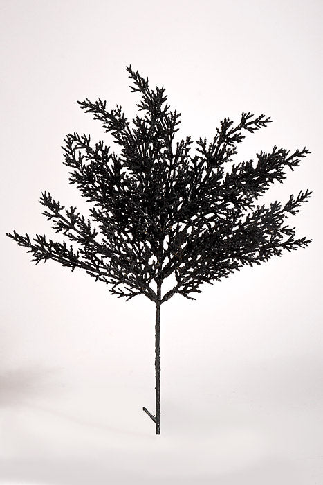 13.5" Cedar Pine Pick with Glitter Black Pkg/6