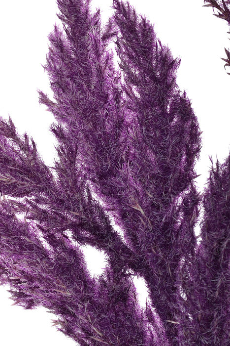 18" Pampas Grass Bundle Purple