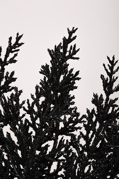 13.5" Cedar Pine Pick with Glitter Black Pkg/6