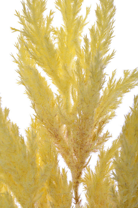 18" Pampas Grass Bundle Yellow