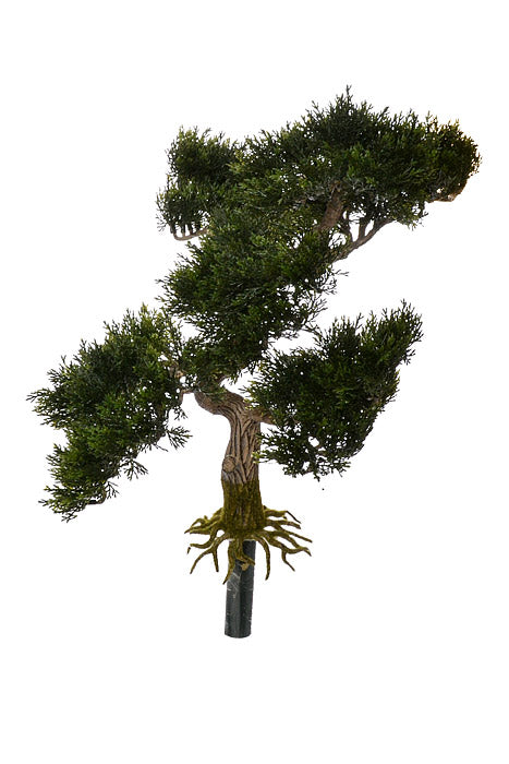 16" Cedar Bonsai Green