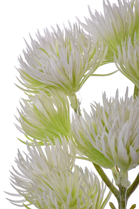 19" Thistle Spray Cream