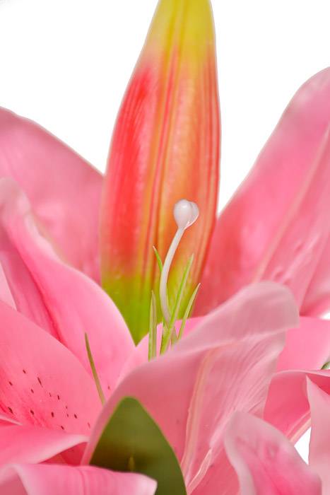 35" Silk Casablanca Lily Spray Rubrum Pink