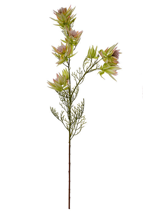 25.5" Silk Serruria Florida Spray Green