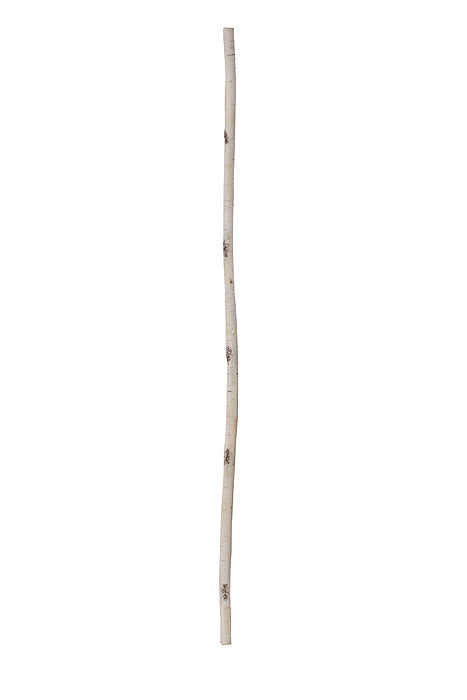 72" Wired Foam Birch Branch Garland Natural