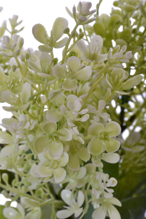 19" Wild Hydrangea Bundle White