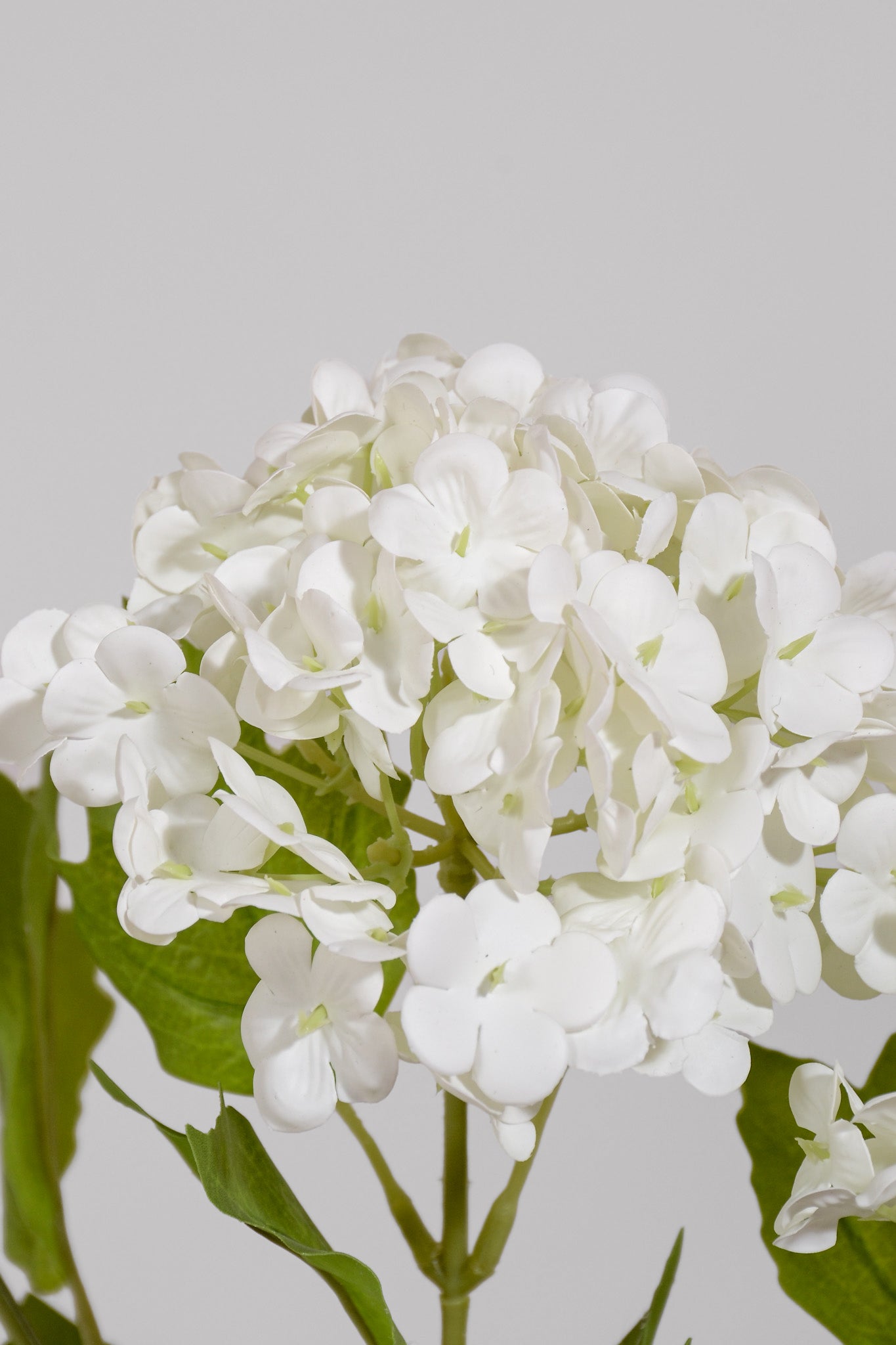 35" Snowball Spray White