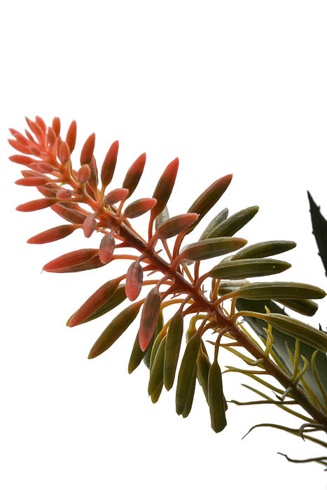 15" Blooming Agave Pick Pink/Green