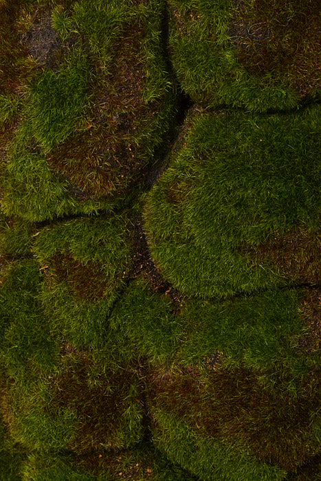 19.5 x19.5" Faux Moss Matt Green/Brown