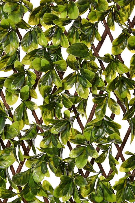 78 x 34" Stretchable Fence Screen Eucalyptus Green