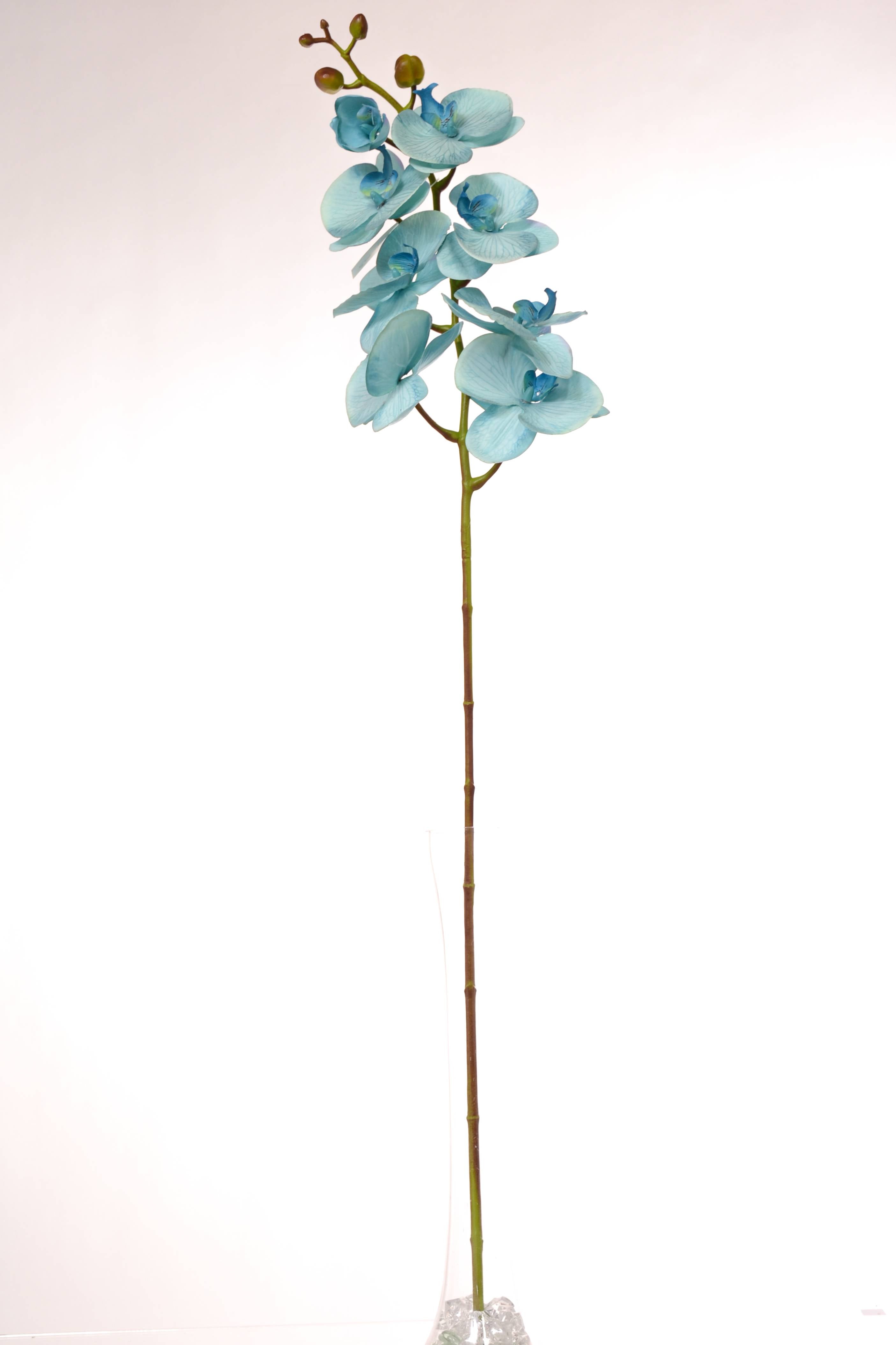 40" Silk Phalaenopsis Spray Blue