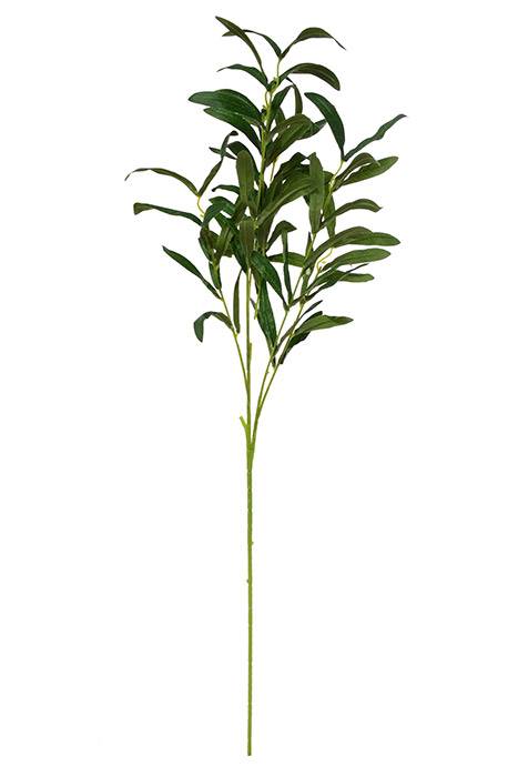 35" Olive Spray Green