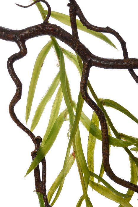 42" Willow Branch Green