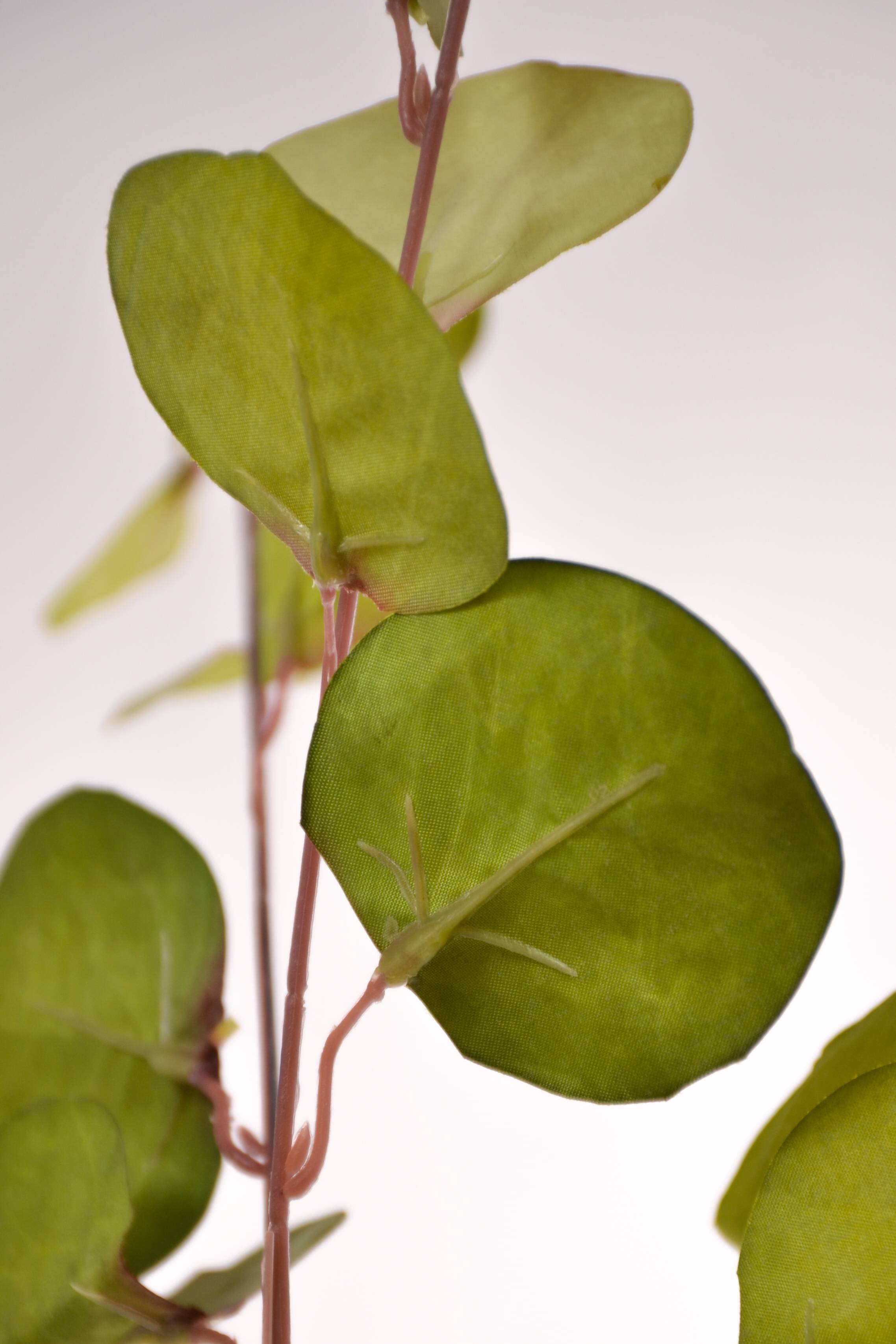 33" Eucalyptus Spray Green