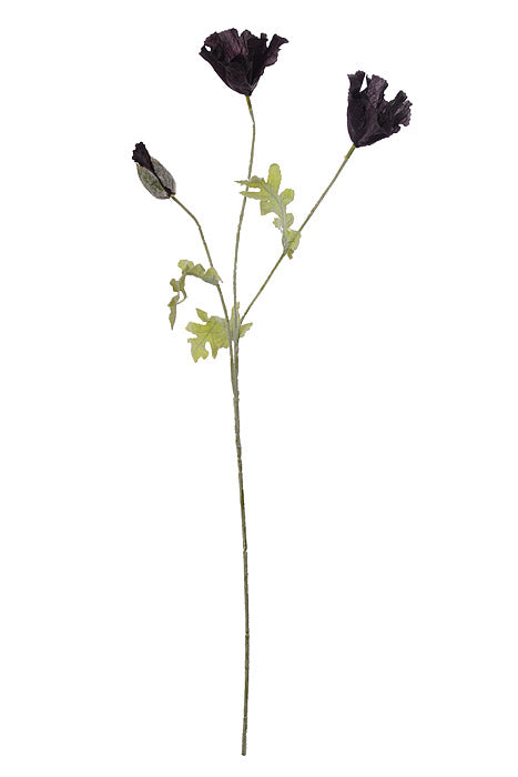 28.5" Poppy Spray Black