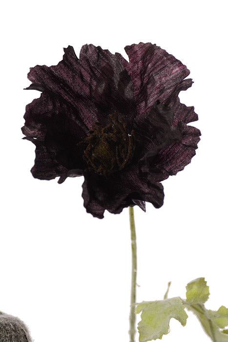 28.5" Poppy Spray Black