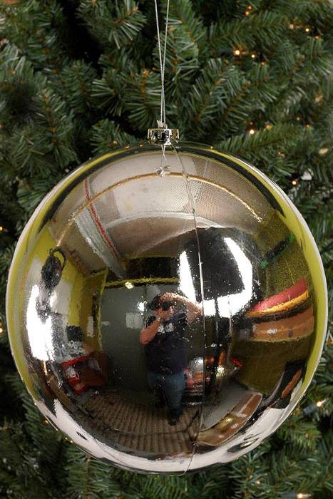 250mm Shiny Plastic Ball Silver