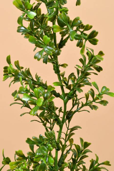 9ft Boxwood Garland Green