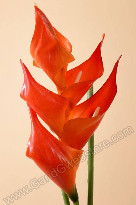 32" Small Heliconia Spray Orange