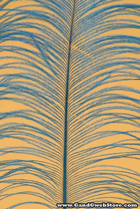 12"-14" Ostrich Feather Turquoise Pkg/12