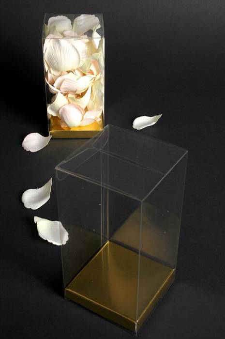 3" X 3" X 5.5" Pvc Box Clear W/gold Bottom Pkg/12