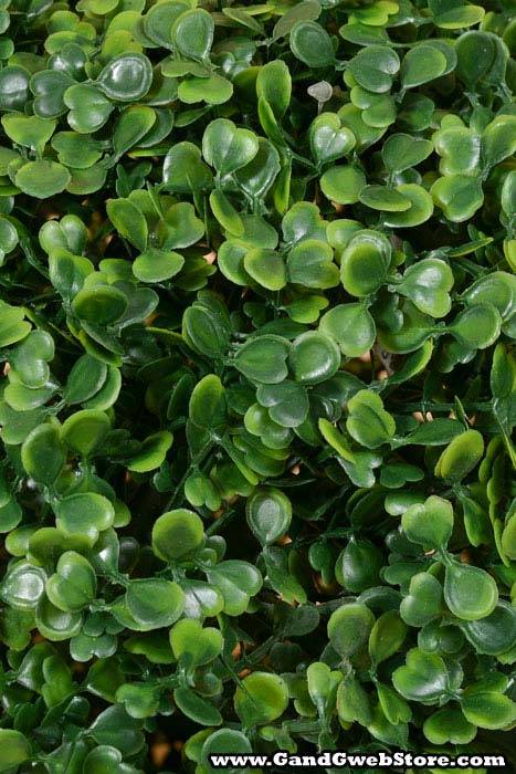 18" Boxwood Ball Green