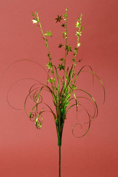 20" Star Spray Apple Green Pkg/12