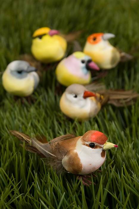 3.5" Feather Bird Assort Pkg/12