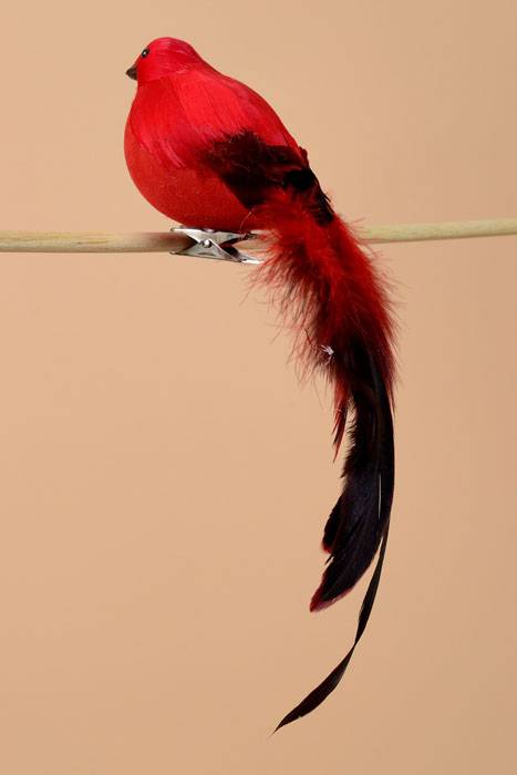 7" Long Tailed Bird W/clip Red