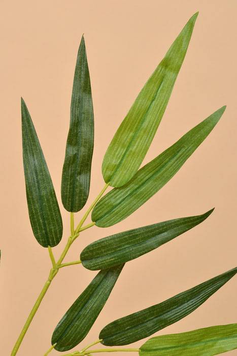 27" Bamboo Branch Green