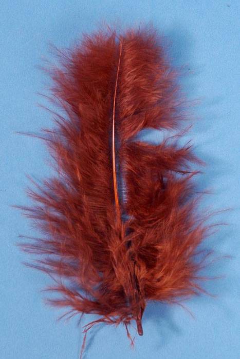 3.5" Ostrich Feather Brown Pkg/100