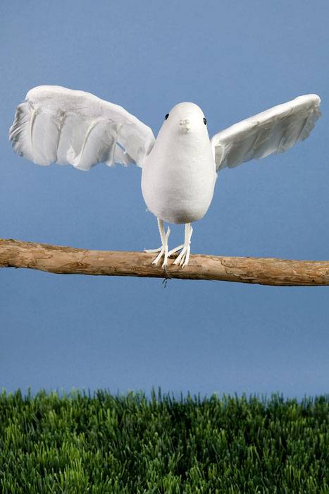 12" Feather/cotton Flying Dove White Pkg/6