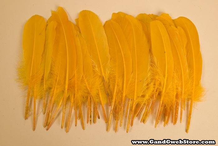 6"- 8" Goose Feather Gold Pkg/50