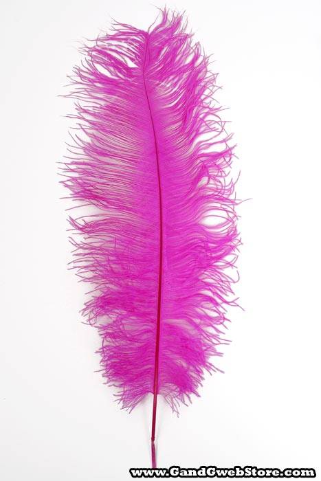 22"-26" Ostrich Feather Hot Pink Pkg/6