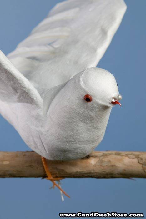10" Feather/cotton Flying Dove Pkg/12