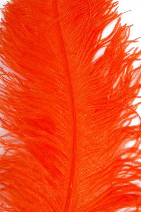 22"-26" Ostrich Feather Orange Pkg/6