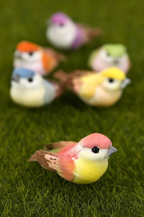 1.5" Mushroom Bird Assorted Pkg/24