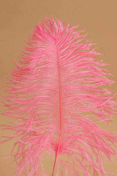 12" - 14" Ostrich Feather Light Pink Pkg/12