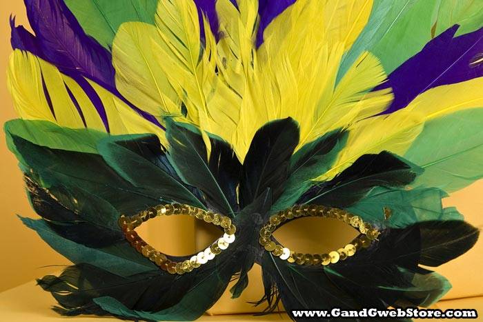 Feather Mask Purple/green/yellow