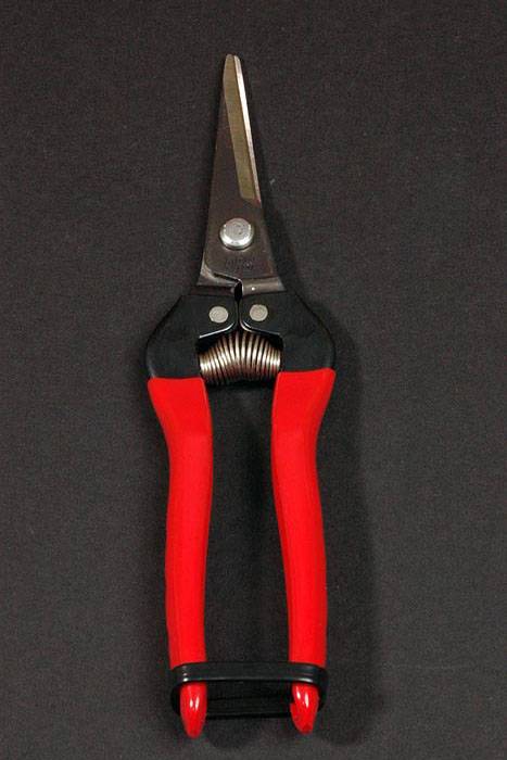 7.5" Fruit Pruner