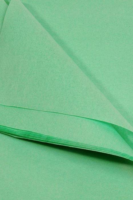 20" X 30" Tissue Paper Apple Green