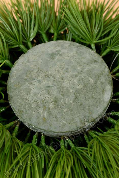 4" X 7" Pine Grass Dome Green