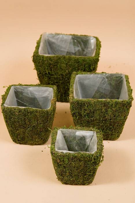 Moss Planter Square Green Set/4