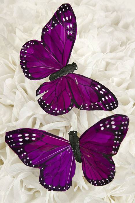 5" Purple Butterfly Pkg/12