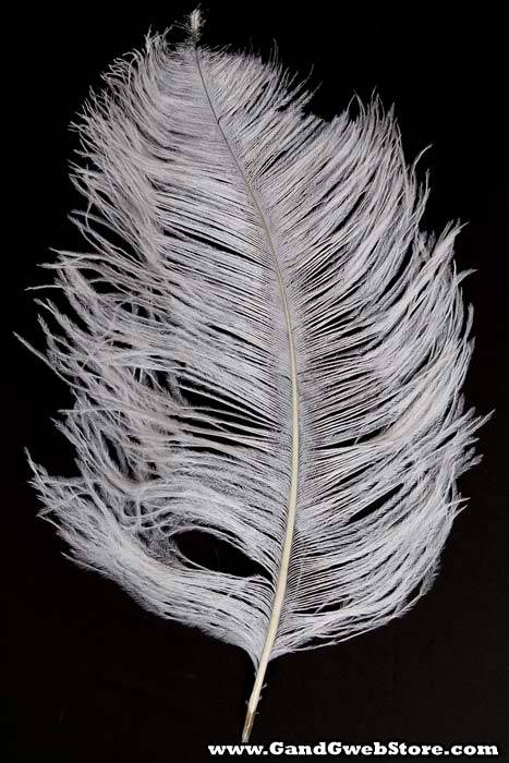 18"-22" Ostrich Feather White Pkg/12