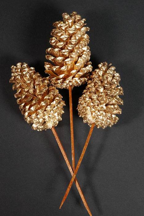 Medium Cone W/pick Gold Box/100