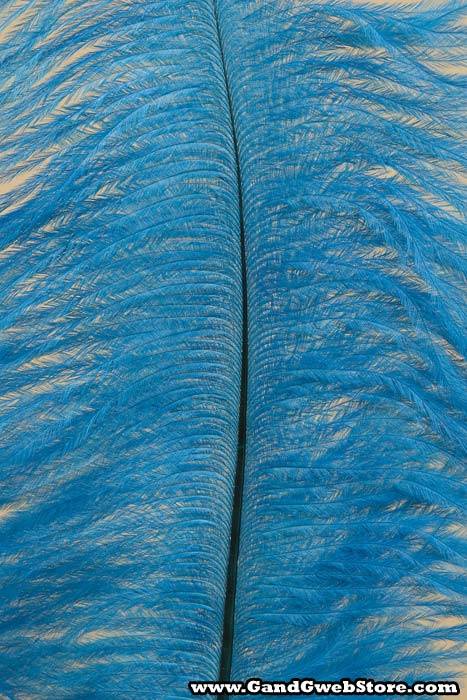 29" Feather Spray Turquoise