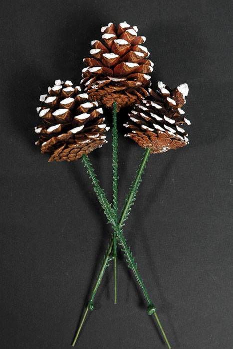 2.5" Pine Cone W/white Tip Natural Pkg/12