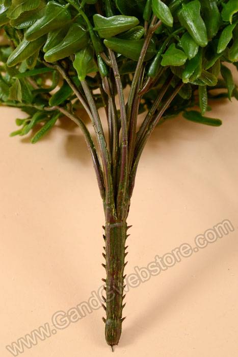 25" Buckler Fern Bush Green