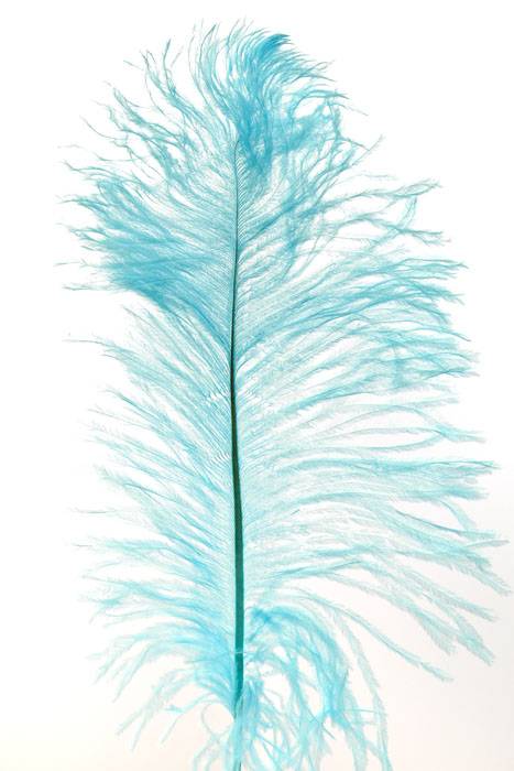 12"-14" Ostrich Feather Light Blue Pkg/12